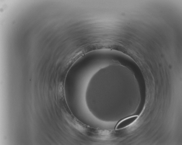 X0000062910144200601201946