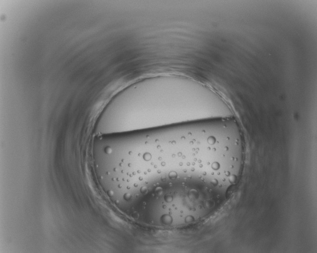 X0000062910145200601201945