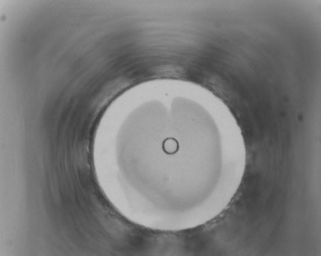 X0000062910146200601201945