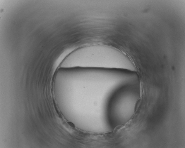 X0000062910147200601201945