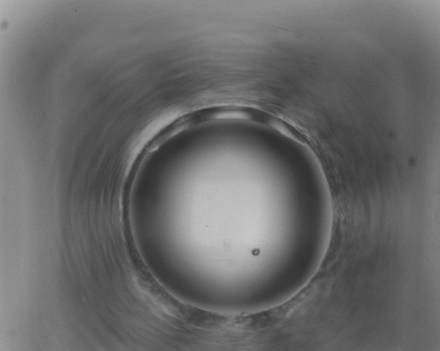 X0000062910148200601201945