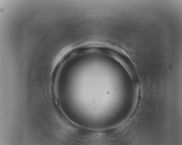 X0000062910152200601201945