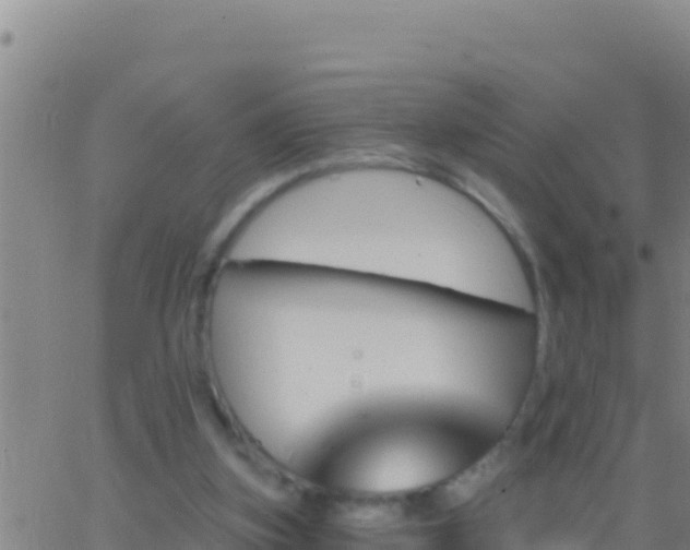 X0000062910155200601201945