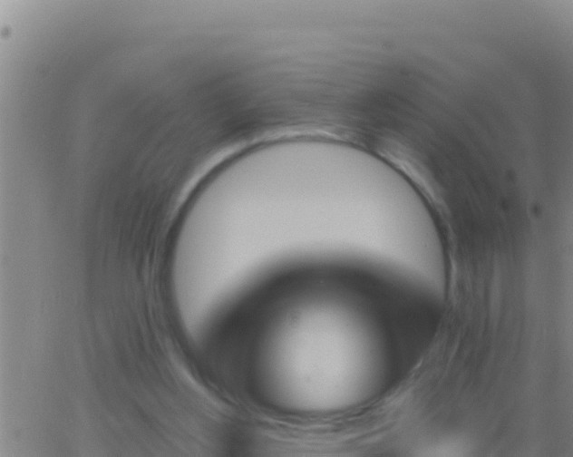 X0000062910156200601201945