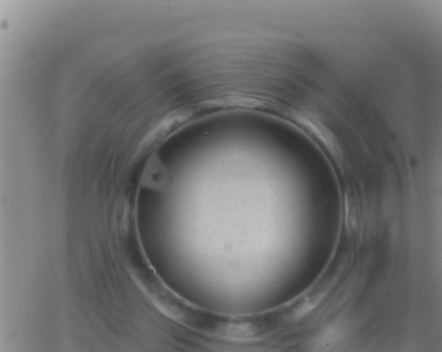 X0000062910157200601201945