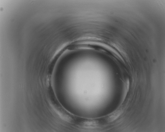 X0000062910160200601201945