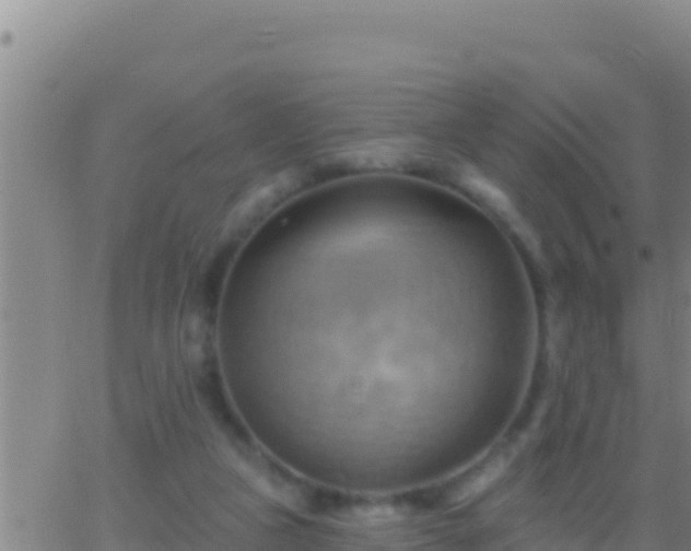 X0000062910161200601201945