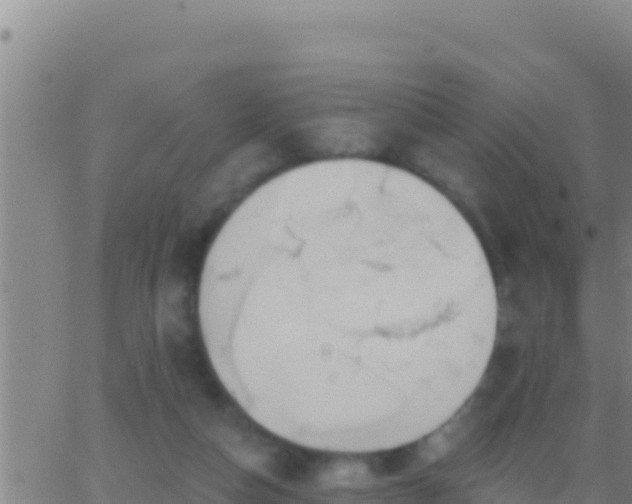 X0000062910162200601201945