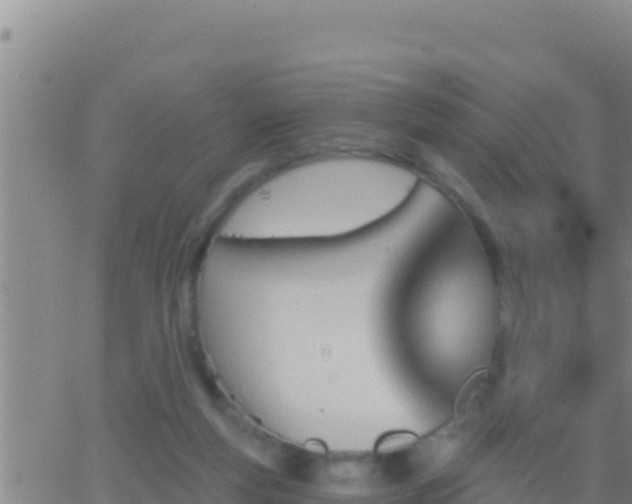 X0000062910163200601201945