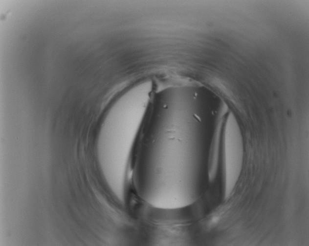 X0000062910164200601201945