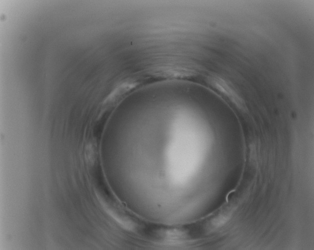 X0000062910165200601201945