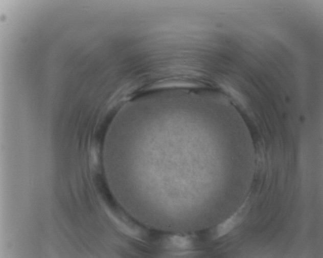 X0000062910166200601201945