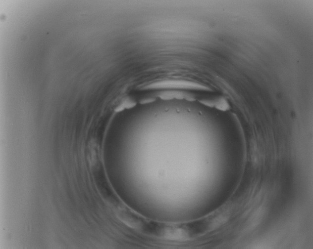 X0000062910169200601201945