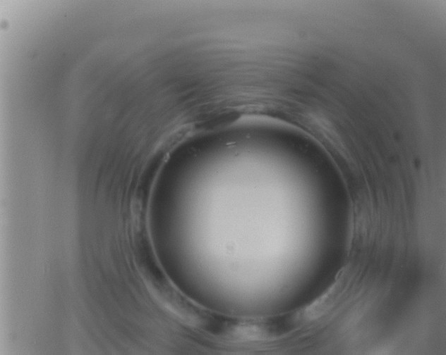 X0000062910171200601201945