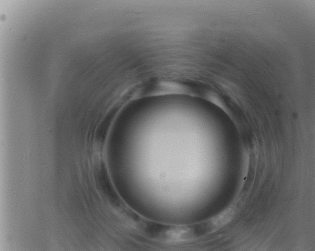 X0000062910172200601201945