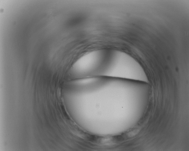 X0000062910173200601201945