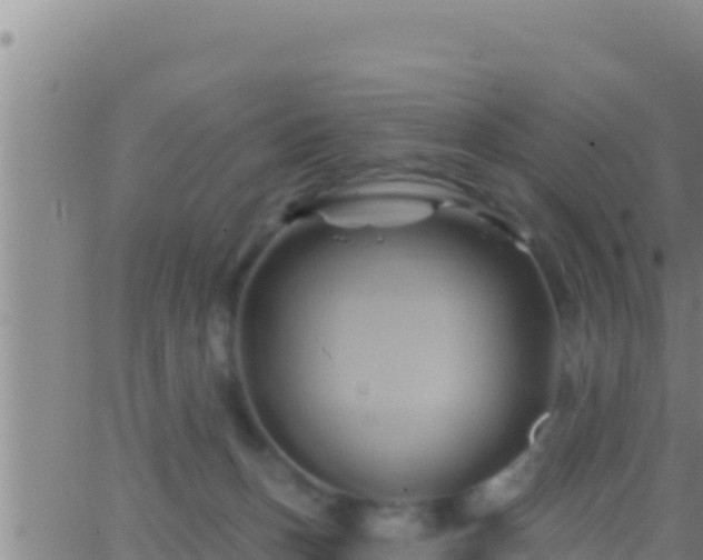 X0000062910175200601201945