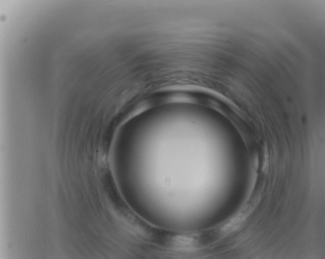 X0000062910176200601201945