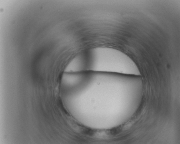 X0000062910177200601201945