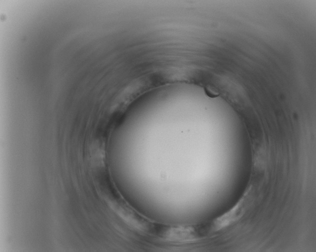 X0000062910179200601201945