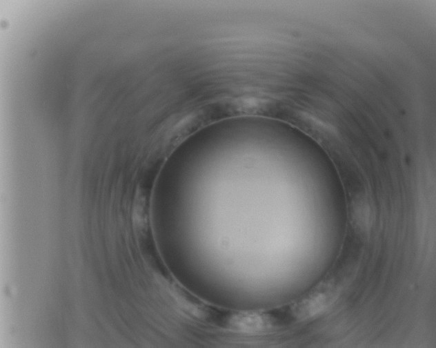 X0000062910181200601201945