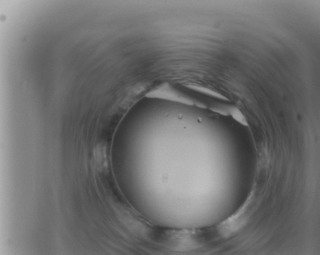 X0000062910182200601201945