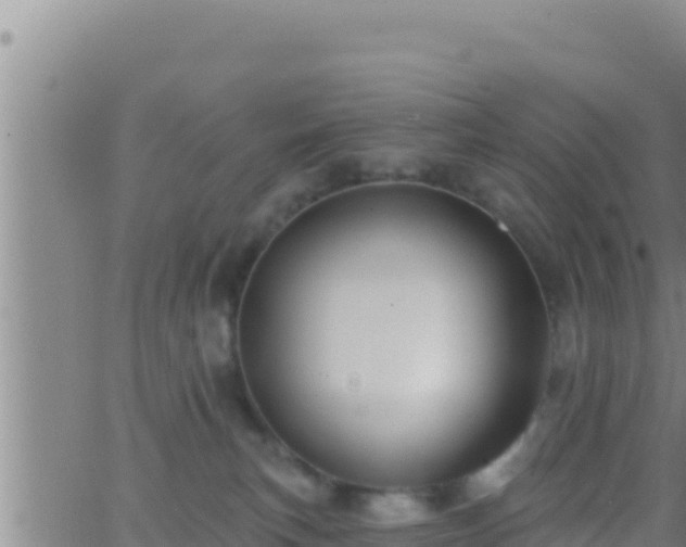 X0000062910183200601201945