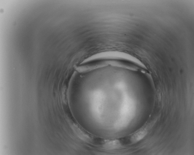 X0000062910185200601201945