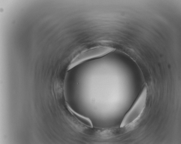 X0000062910186200601201945