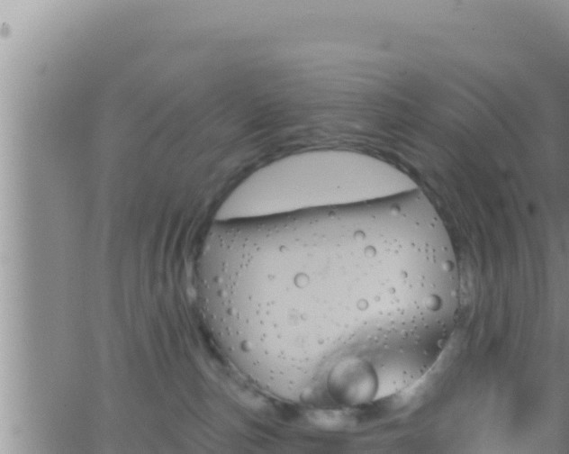 X0000062910187200601201945