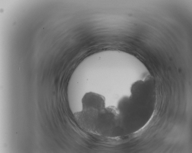 X0000062910191200601201946