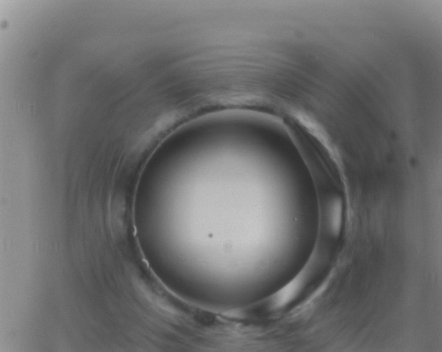 X0000062910201200601201945