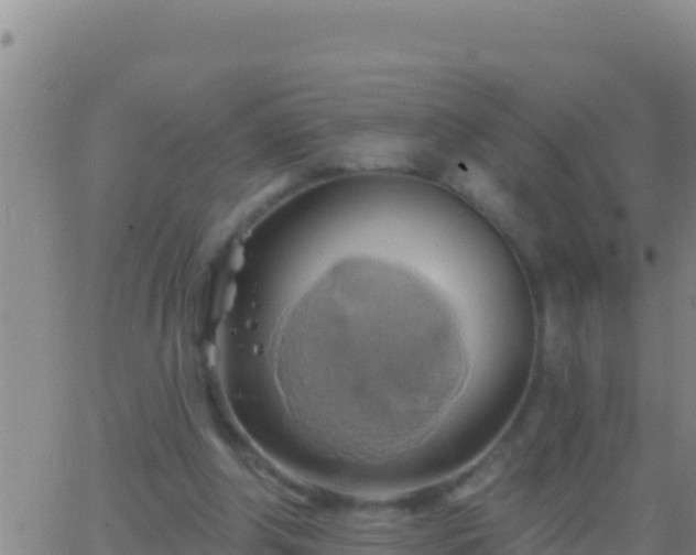 X0000062910202200601201945