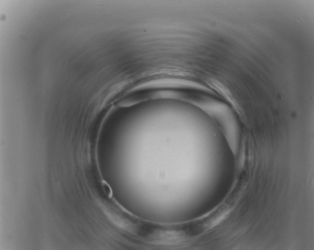 X0000062910205200601201945