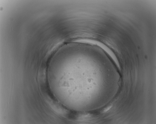 X0000062910206200601201945