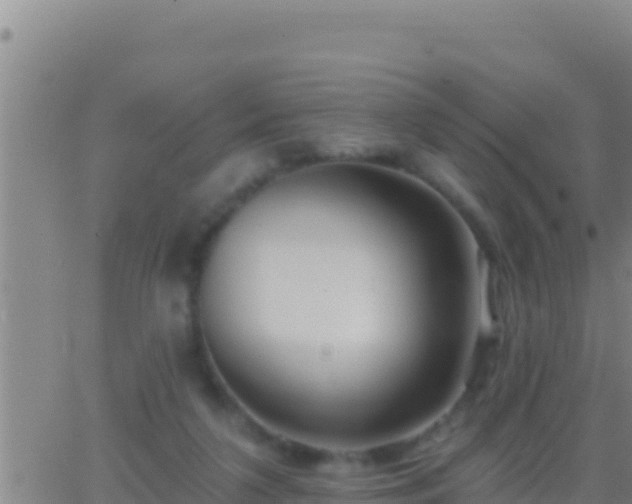 X0000062910211200601201944