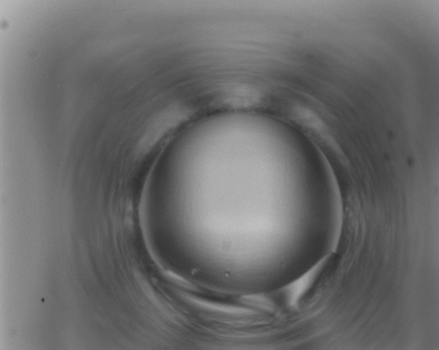 X0000062910212200601201944