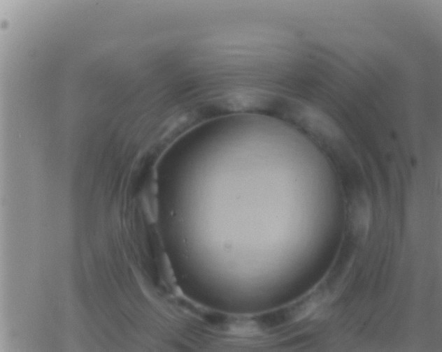 X0000062910214200601201944