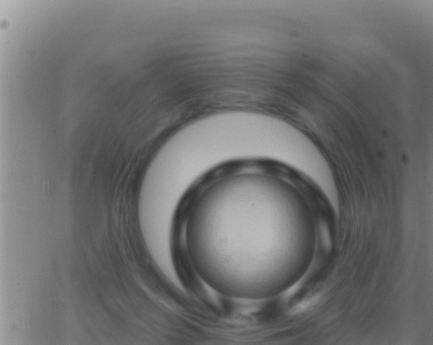 X0000062910215200601201944