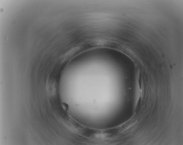 X0000062910216200601201944