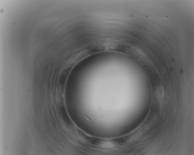 X0000062910218200601201944