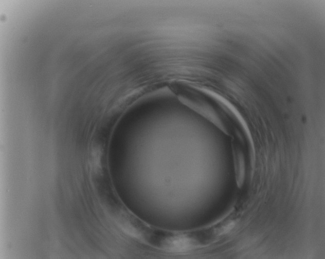 X0000062910219200601201944