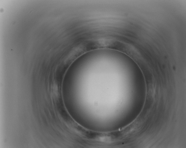 X0000062910220200601201944