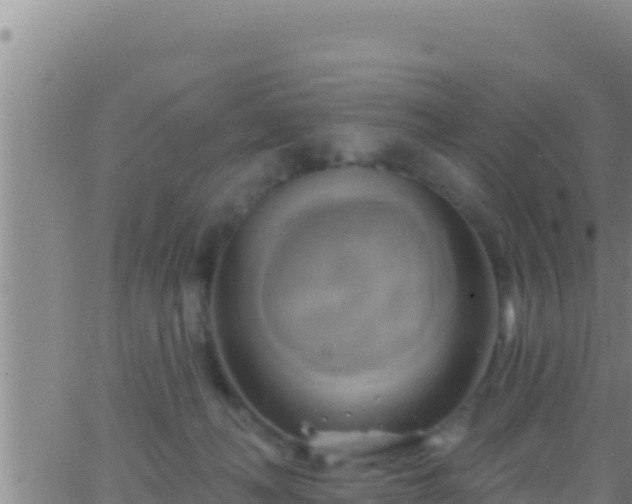 X0000062910222200601201944