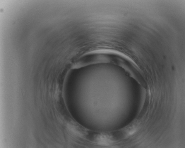 X0000062910223200601201944