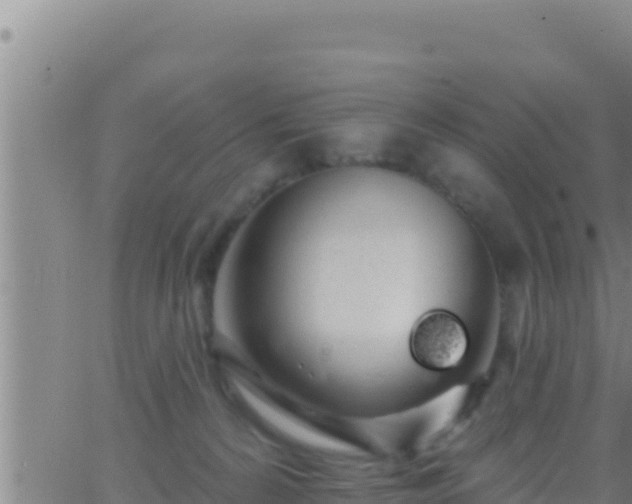 X0000062910224200601201944