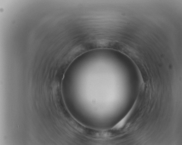 X0000062910225200601201944