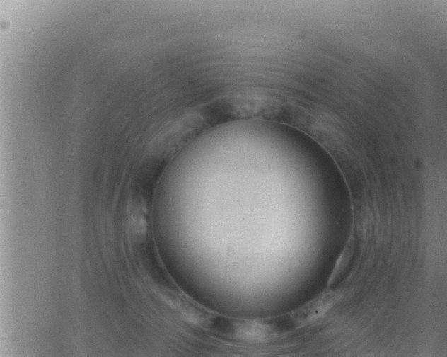 X0000062910226200601201944