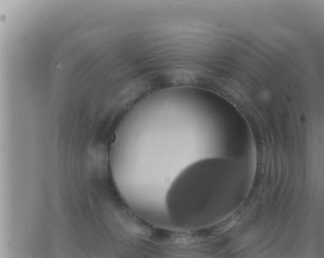 X0000062910228200601201944