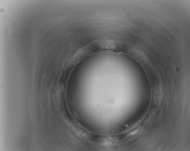 X0000062910229200601201944